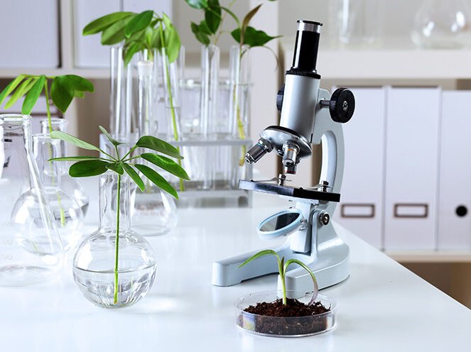 Biochemie